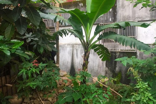 畸零地照片1 畸零地照片1